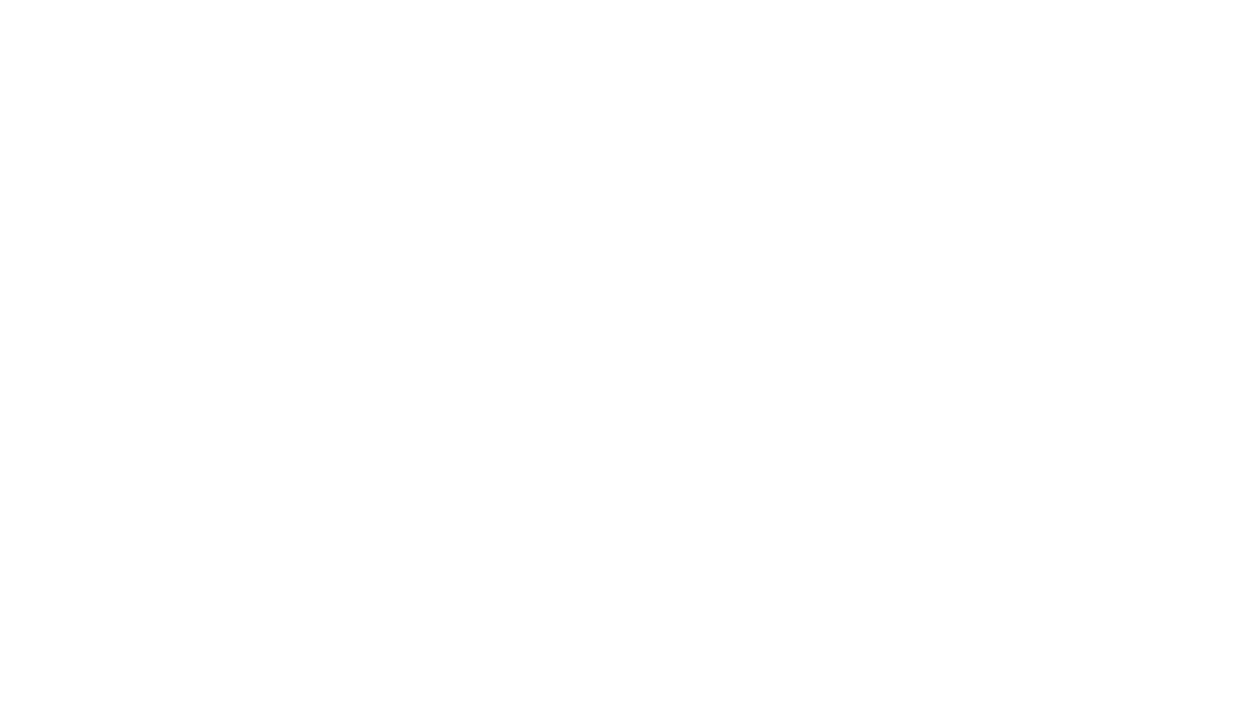 Logo de SimNicaragua